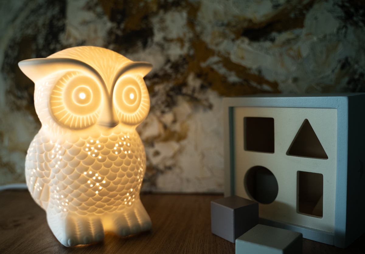Animal Lamps Kids Owl Lamp WHA&DARRENOwl Night Lights Kids