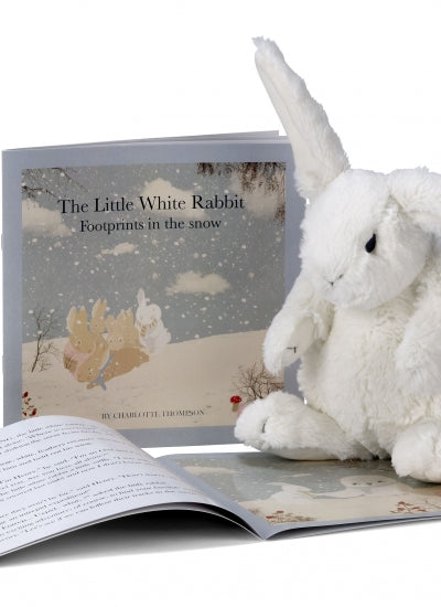 rabbit toy and story book