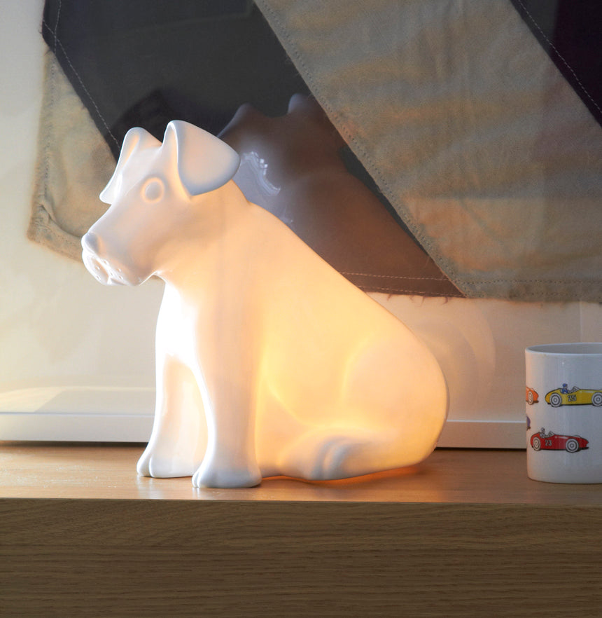childrens bedroom dog light nightlight for nursery or kids interior